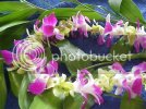 hawaiian_lei.jpg