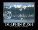 06302008122958Dolphin.jpg