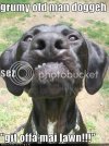funny-dog-pictures-grumy-old-man.jpg