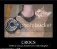 crocs.jpg