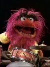 animal_%28muppet%29.jpg
