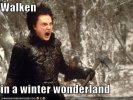 January-05-2012-19-59-37-128856119409387109.jpg