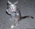 RRxBwE5tueEq_913j6saVVoEe626bO3gDjr7BOY6y5u9kjuvDK.jpg