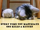 funny_cat_pictures_281.jpg