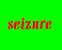 20080331-Seizure.gif