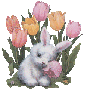 bunny410.png
