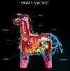 pinata_anatomy_large.jpg