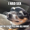 pillow_zpsd8ba09c9.png