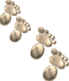 footprints2.gif