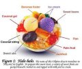 halo-halo-pictures-3.jpg