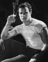 Brando.jpg