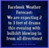 Facebook forecast.jpg