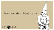 stupid-questions-reminders-ecard-someecards.jpg