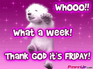 tgif_pimpin1.gif