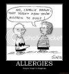 allergies.jpg allergies.jpg