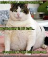 funny-pictures-fat-cat-holds-farts.jpg