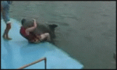 1232228421_dolphinab2.gif
