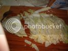 Cabbage.jpg