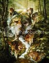 hidden_wolf.jpg
