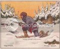 find-bear-hidden-object-puzzle-card.jpg