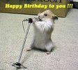 HappyBirthdayHamster.jpg