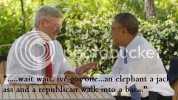 harperobamahawaii-620.jpg