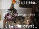 funny-pictures-cat-cannot-sleep.jpg