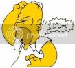 homer_doh.jpg