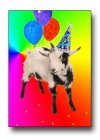 26228_happy_birthday_goat.jpg