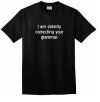 correcting-your-grammar-shirt.jpg