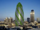 greengherkin.jpg