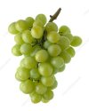 H1101846-Bunch_of_grapes-SPL.jpg
