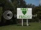 nakiheartpeachysign.jpg
