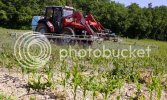 Leo-blog--Farmer-spraying-007_zps8c58d7b2.jpg