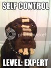 selfcontrolexpert.jpg