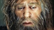 hi-neanderthal-852.jpg