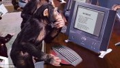 monkey-on-a-computer.jpg