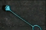 tumblr_m2i78eK3wp1rtwfqno1_500.gif