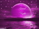 Purple+Moon+-+2cBDC-11l+-+normal.gif