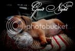 GOODNIGHT-Puppy_zps5a9062aa.jpg