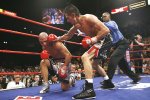 box_a_cotto_margarito3_sw_600.jpg