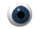 eye005.gif
