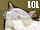 LOL20cat.jpg