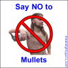 SayNo-Mullets.png