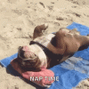 1684243640308.gif