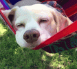 1684261589382.gif