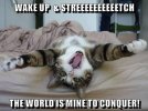 wake up.jpg