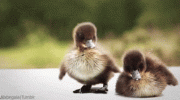 1684850880228.gif