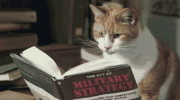 1684861209154.gif