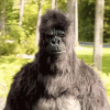 1687546120792.gif